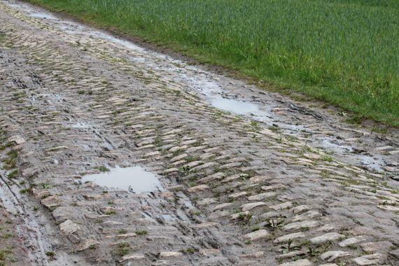 Wszystkie informacje na dobry zakład na zakłady-Roubaix 2019