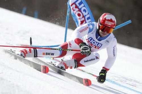 Zakłady na Mistrzostwa Świata w biegach narciarskich online
